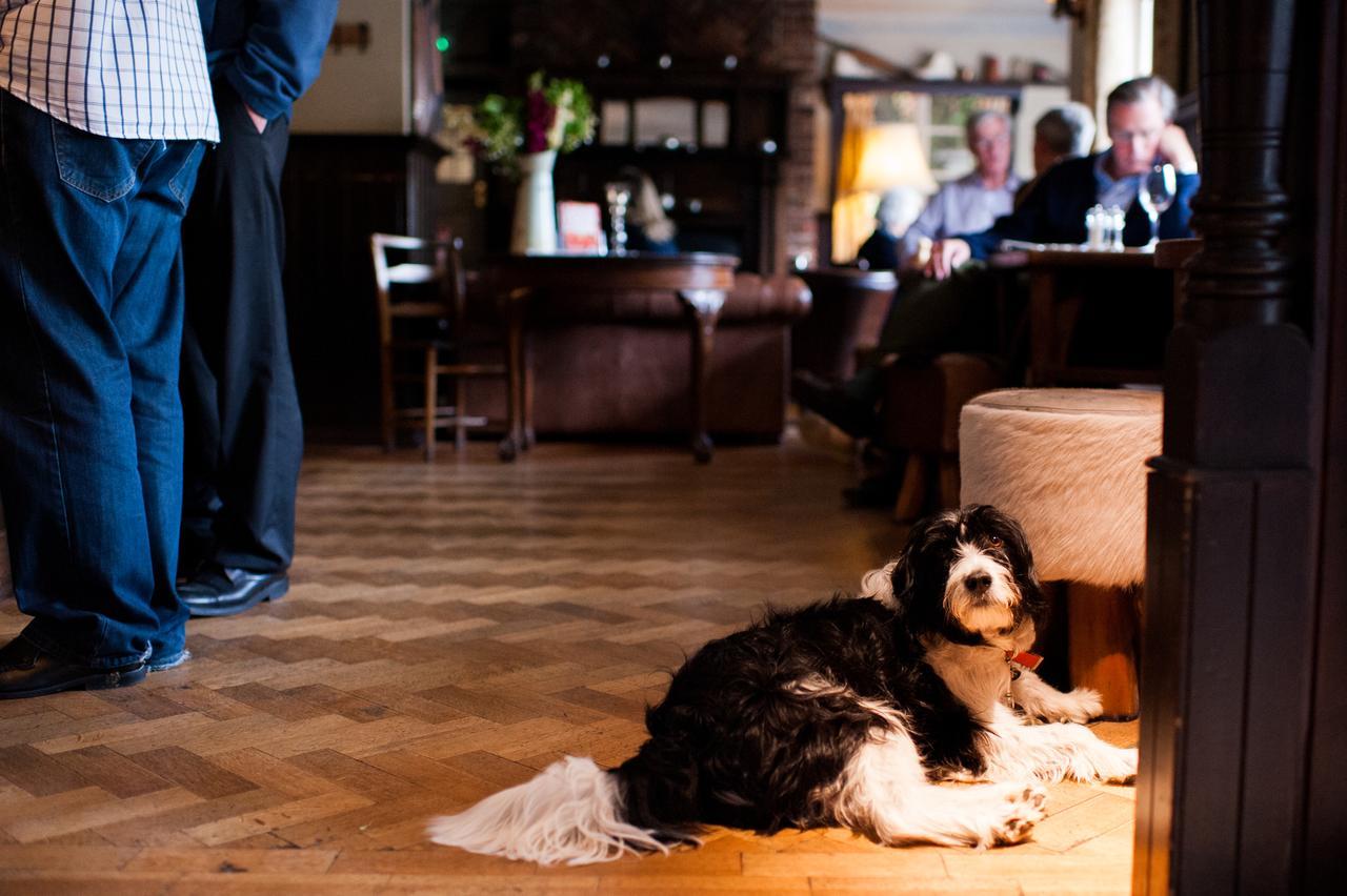 The Thomas Lord Hotel West Meon Exterior foto